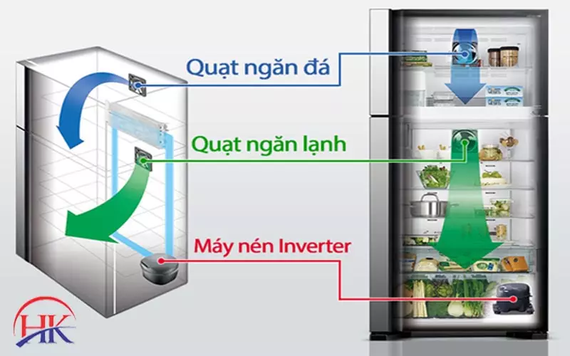 Cấu Tạo Tủ Lạnh: Sửa Chữa Dễ Hơn Nếu Bạn Biết Được Những Điều Này! Cấu tạo chi tiết của tủ lạnh