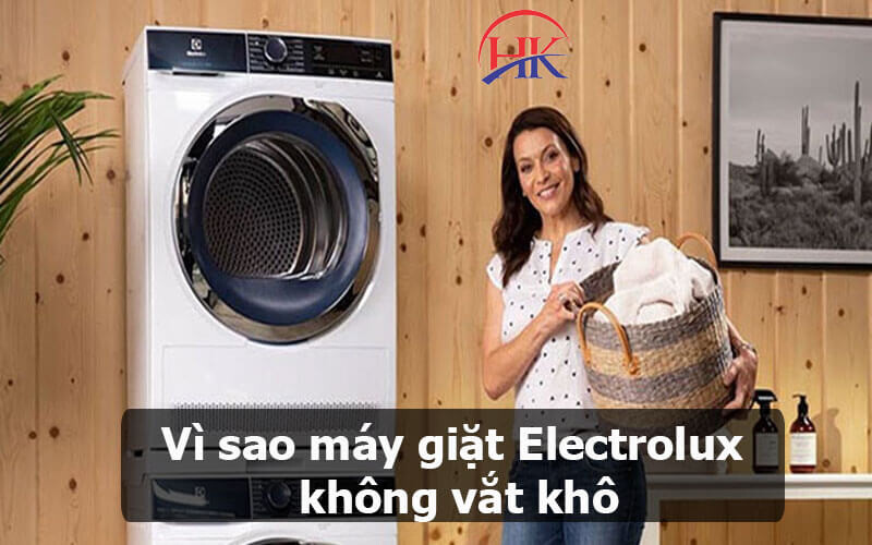 Vi sao máy giặt Electrolux vắt không khô